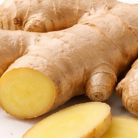 Ginger Root